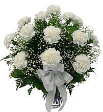 One Dozen White Carnations