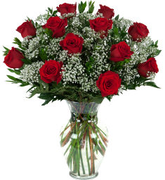 One Dozen Red Roses