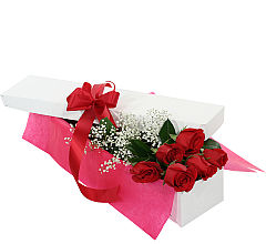 Six Red Roses, Boxed