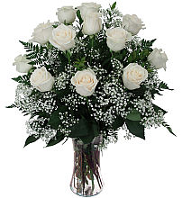 12 White Roses