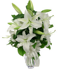 Casablanca Lilies