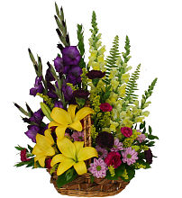 Sympathy Garden