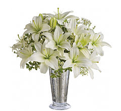 Written in the Stars