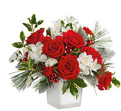 Canada Flowers | Teleflora Christmas Arrangements