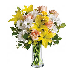 Daisies and Sunbeams