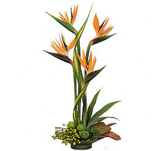 Memories of Paradise