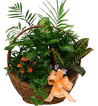 Planter Basket