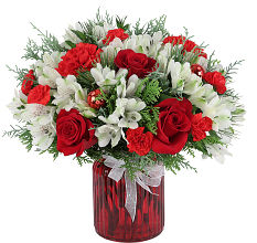 Home for the Holidays