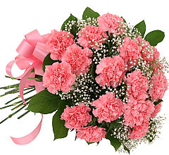 18 Pink Carnations
