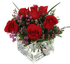 Modern Red Roses