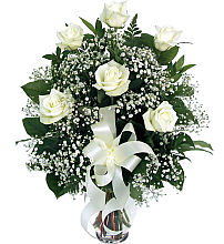 6 White Roses