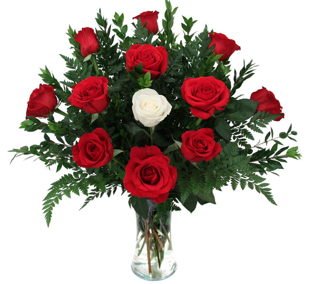 Special Love · Valentine's Flowers · Canada Flowers