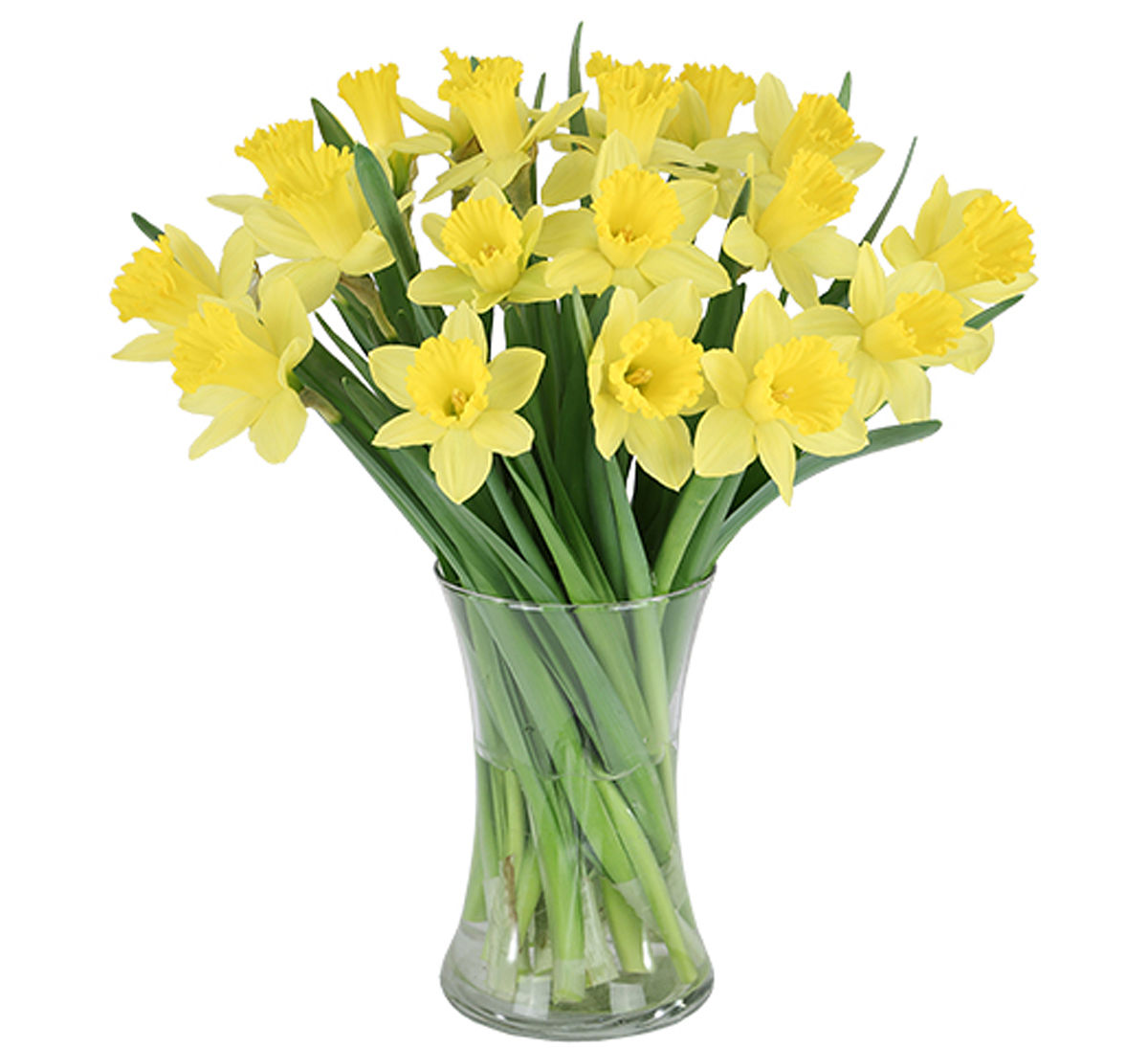 Hope Blooms · Canada Flowers