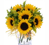 Canada Flowers · FTD® Flowers · Teleflora Flowers · Beautiful Fresh