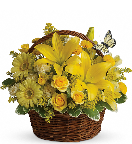 Teleflora's Basket Full of Wishes (T272A) · Teleflora Get Well Flowers · Canada Flowers