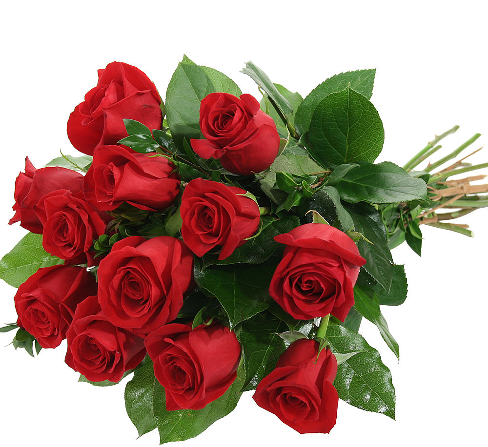 Red rose bouquet uk flower delivery canada flowers
