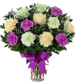Carnations