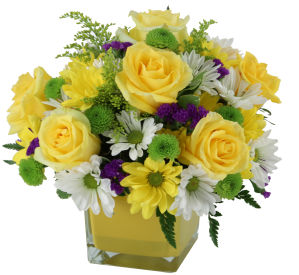 Budget Flowers