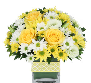 Budget Flowers