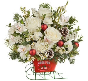 Christmas Flowers Collection