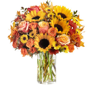 Fall Flowers Collection