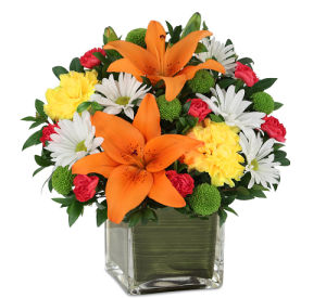 Father's Day Flowers & Gifts
