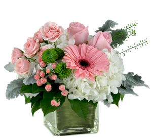Maternity & New Baby Flowers