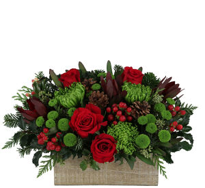 Original Christmas Arrangements