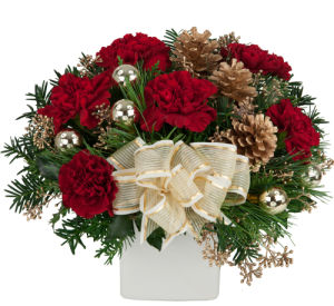 Christmas Best Sellers · Popular Christmas Gifts