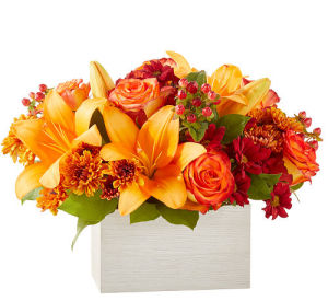 Flower Delivery by Canada Flowers