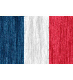 France Flower Delivery · Send Flowers to France