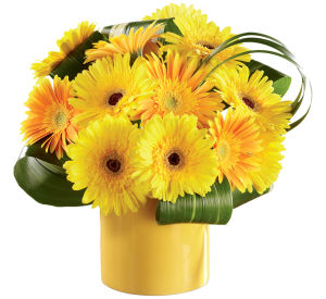 Budget Flowers Collection