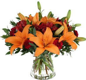 Fall Flowers