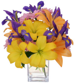 Lilies