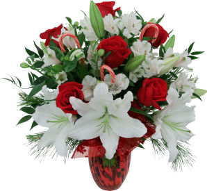Premium Christmas Flowers