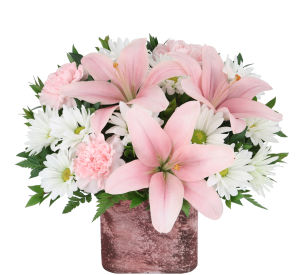 Sympathy Budget Flowers