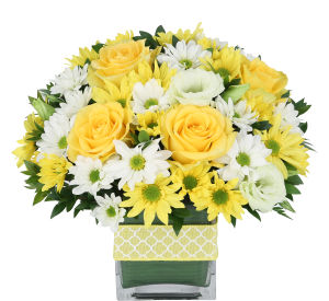 Popular Flowers