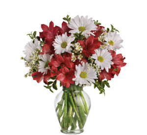 Teleflora Budget Flowers · Teleflora's Premier Florist