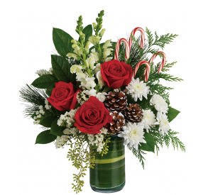 Teleflora Christmas Arrangements · Teleflora's Premier Florist