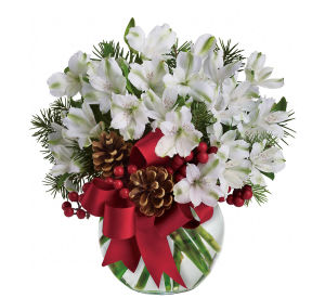 Teleflora Christmas Budget · Teleflora's Premier Florist