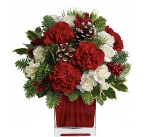 Teleflora Christmas Budget · Teleflora's Premier Florist