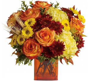 Fall Flowers Collection