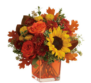 Teleflora Fall Flowers · Teleflora's Premier Florist