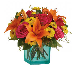 Teleflora Flowers Collection