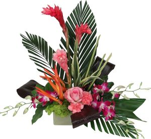 Tropical Flower Delivery | Find Your Perfect Tropicals