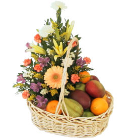 USA Fruit Baskets & Plants