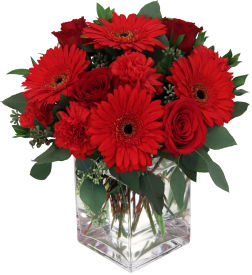 USA Love and Romance Flowers
