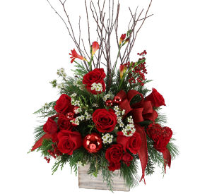 Christmas Flowers