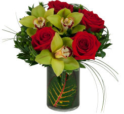 Orchids