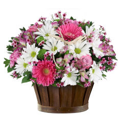 Popular Flowers